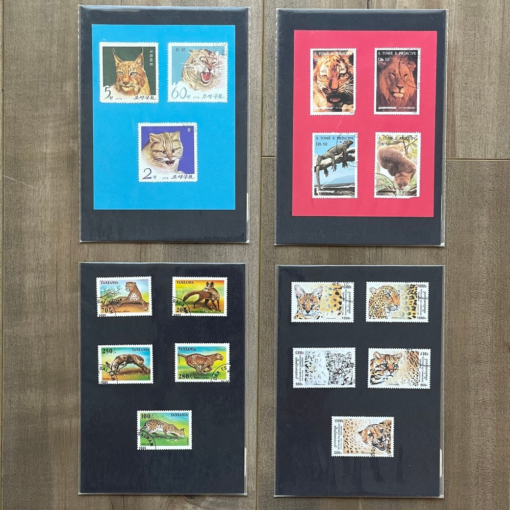 Stamp Bundle Exotic Big‎ Cats Africa Asia Rare Vintage Collection Animals